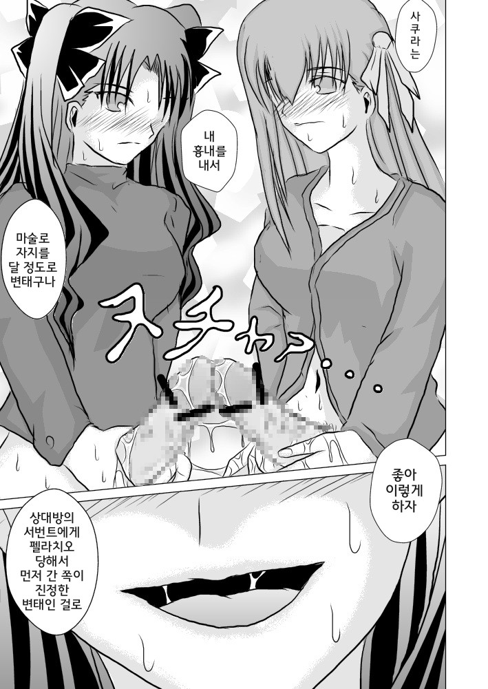 (SC42) [Akai Hitomi to Aoi Tsuki (Uranfu)] Haisetsu Kakeru x 4 (Fate/Stay Night) [Korean] - Page 5
