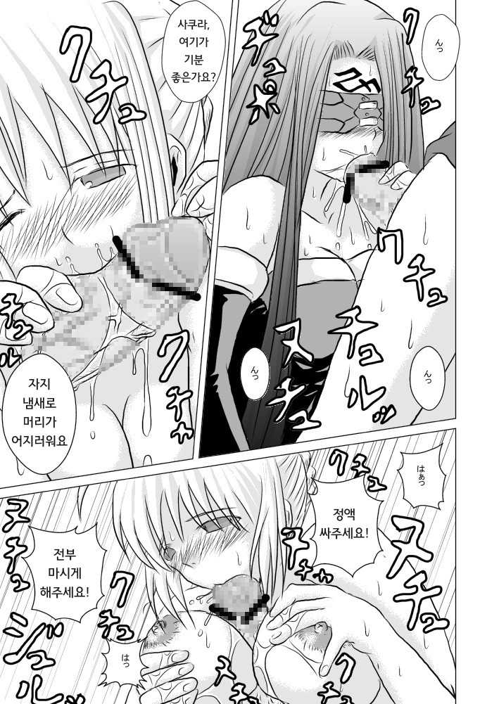 (SC42) [Akai Hitomi to Aoi Tsuki (Uranfu)] Haisetsu Kakeru x 4 (Fate/Stay Night) [Korean] - Page 7