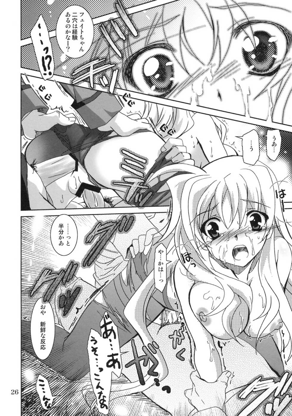 (C75) [PLUM (Kanna)] Mahou Shoujo Magical SEED QUOD (Mahou Shoujo Lyrical Nanoha) - Page 25