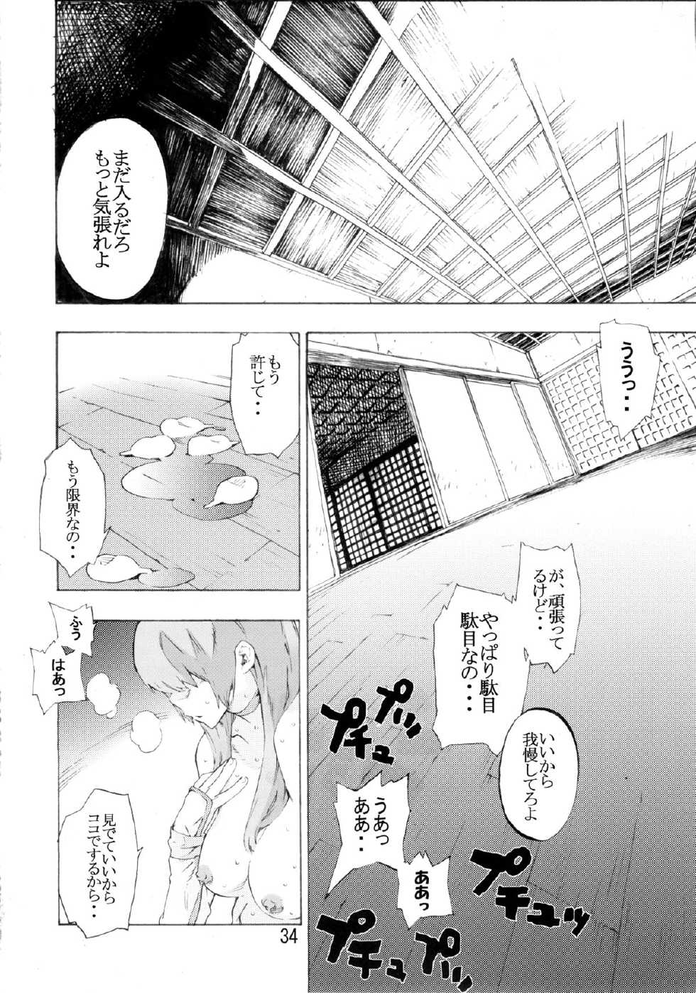 [SEVEN GODS! (Nanagami You)] DOAH 2 (Dead or Alive) - Page 35