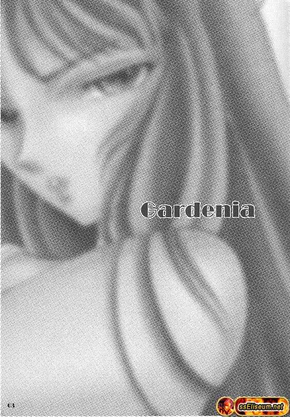 [Momoiro-Rip (Sugar Milk)] Gardenia (Saint Seiya) [Spanish] [ssEliseum] - Page 2