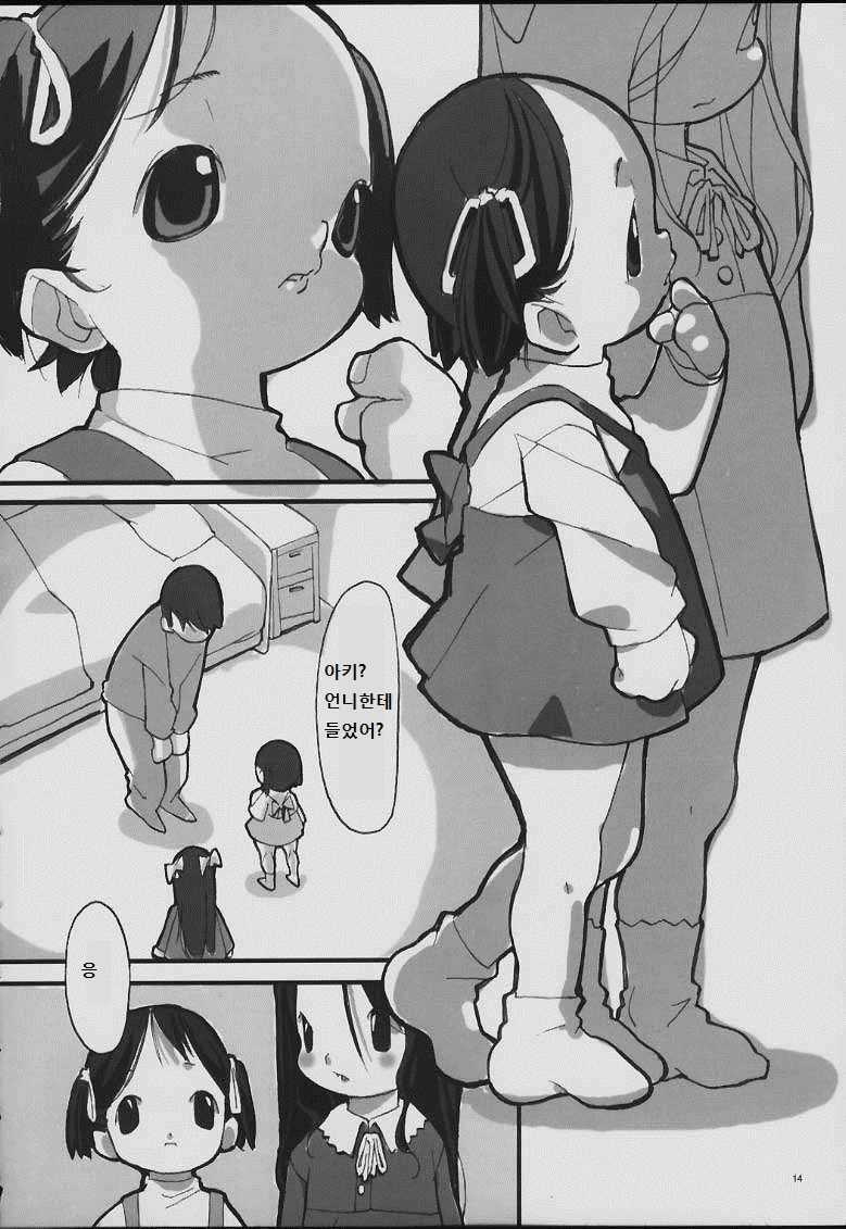 (C59) [Nichoume no Denchuu (Minasaki Keitarou)] 3Days [Korean] [LWND] - Page 14