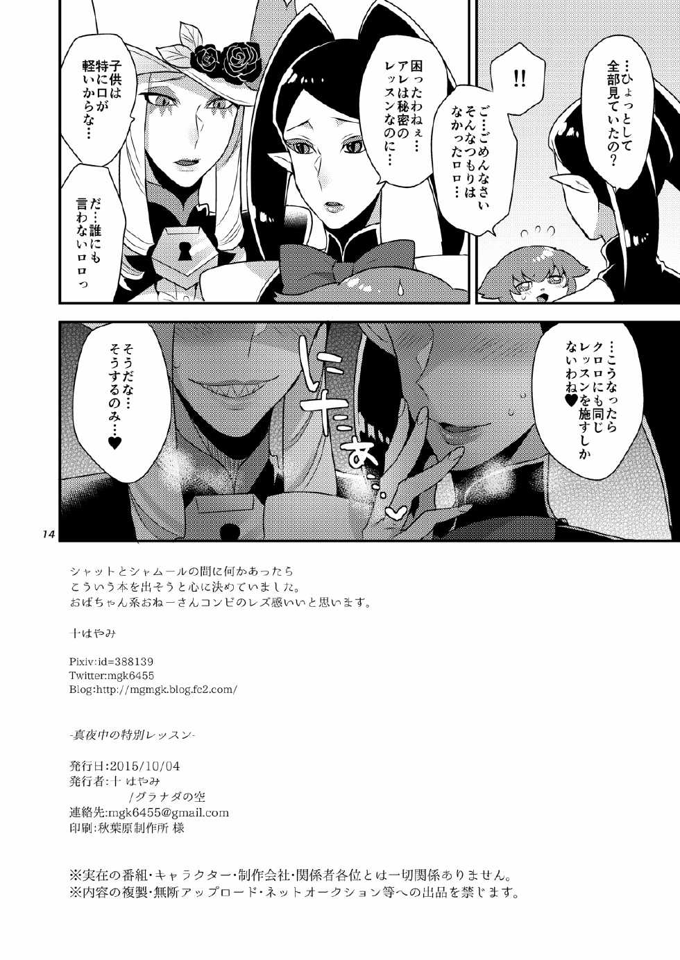 [Granada Sky (Mogiki Hayami)] Mayonaka no Tokubetsu Lesson (Go! Princess PreCure) [Digital] - Page 13