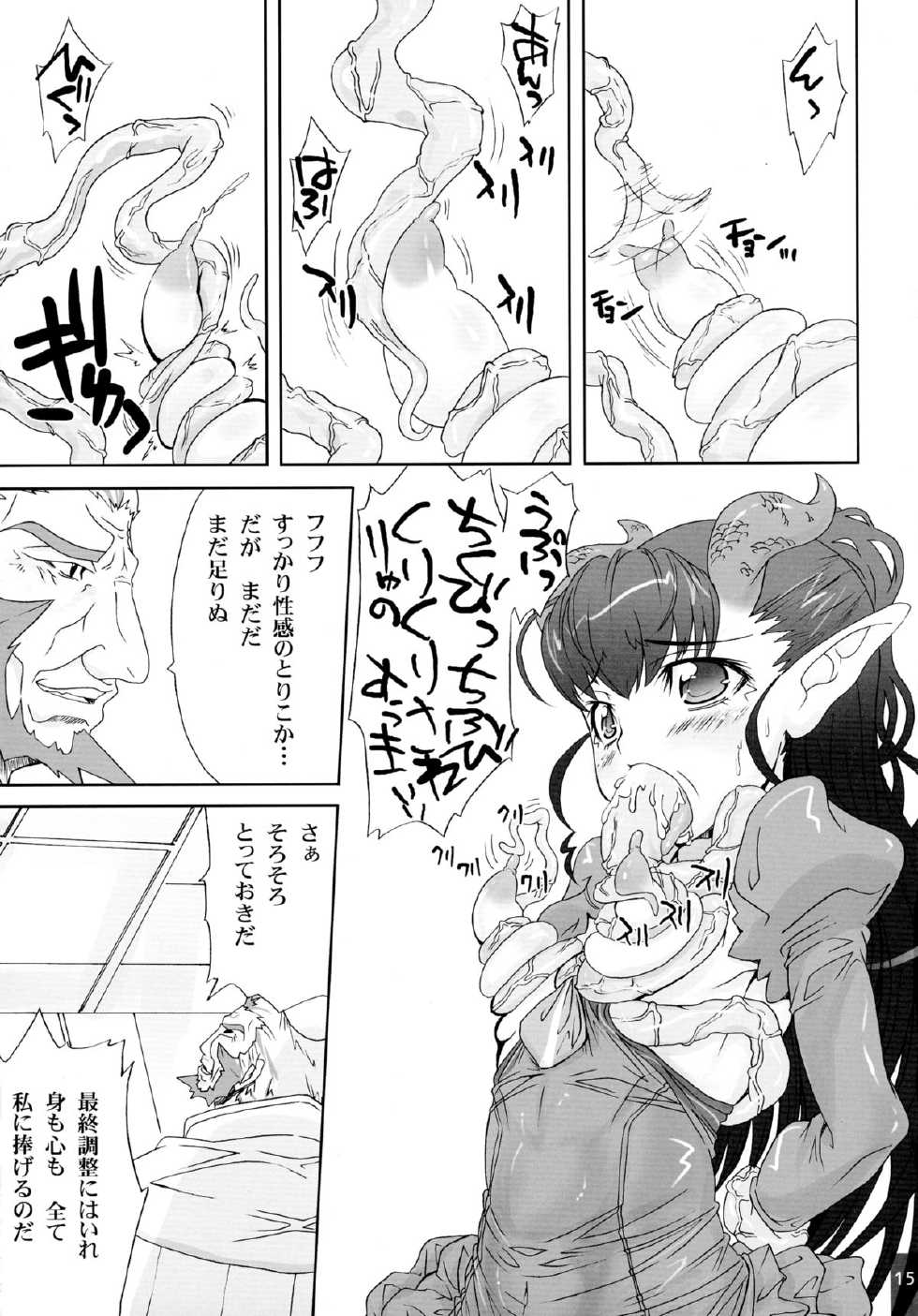 (SC41) [S-G.H. (Oona Mitsutoshi)] SUICIDA #12 (Blassreiter) - Page 14