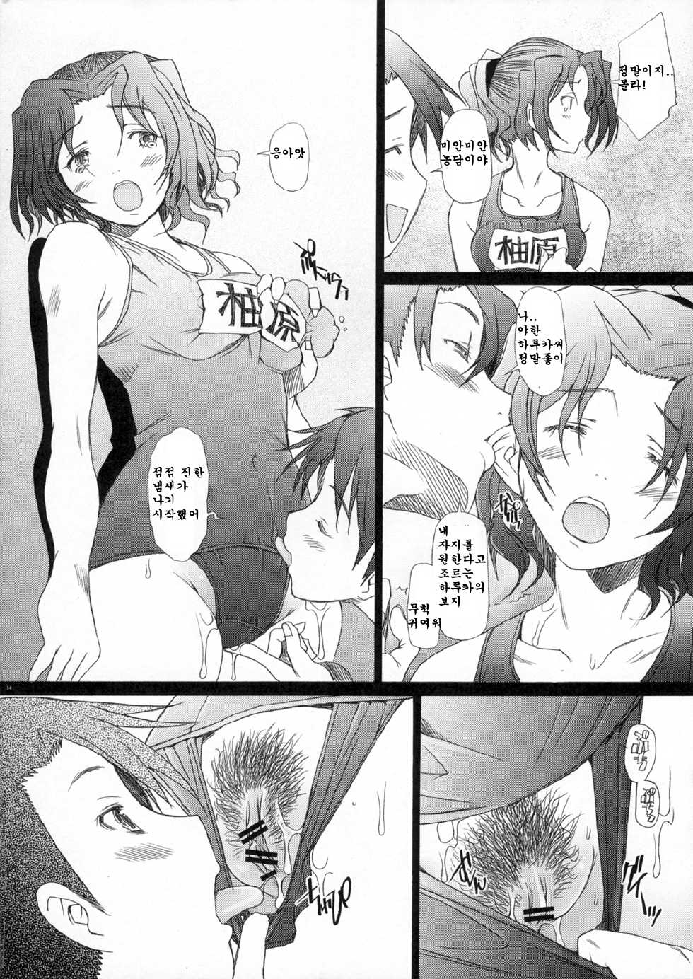 (C72) [Kohakutei (Sakai Hamachi)] Ranjyuku 3 (ToHeart 2) [Korean] - Page 14