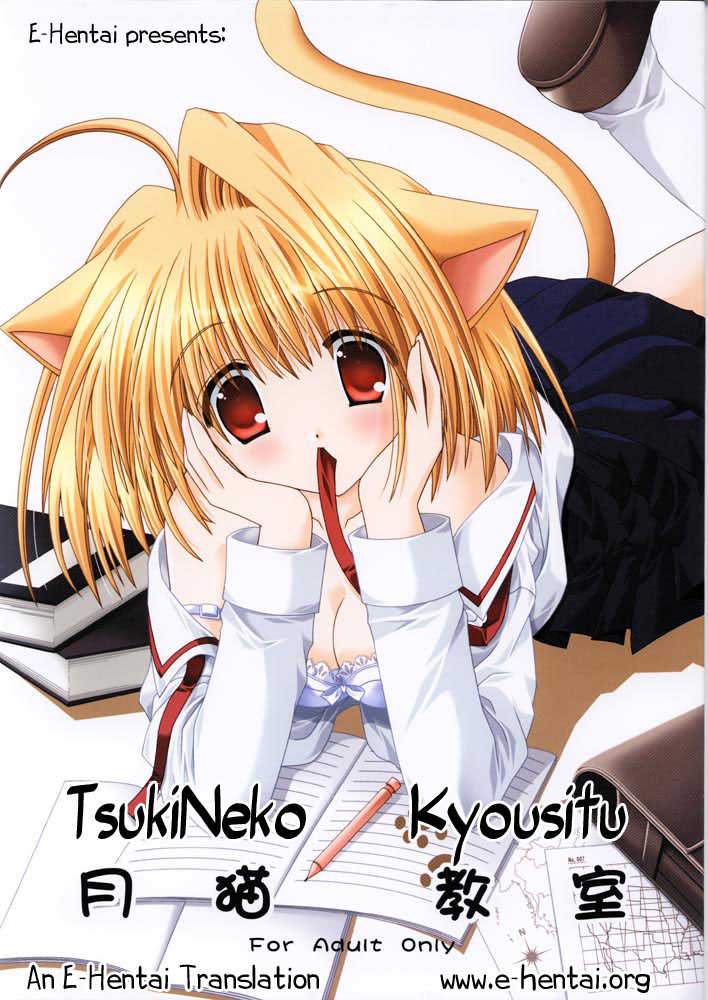 (C63) [Neko Kinryouku (NekoNeko)] Tsukineko Kyoushitsu (Tsukihime) [Spanish] - Page 1
