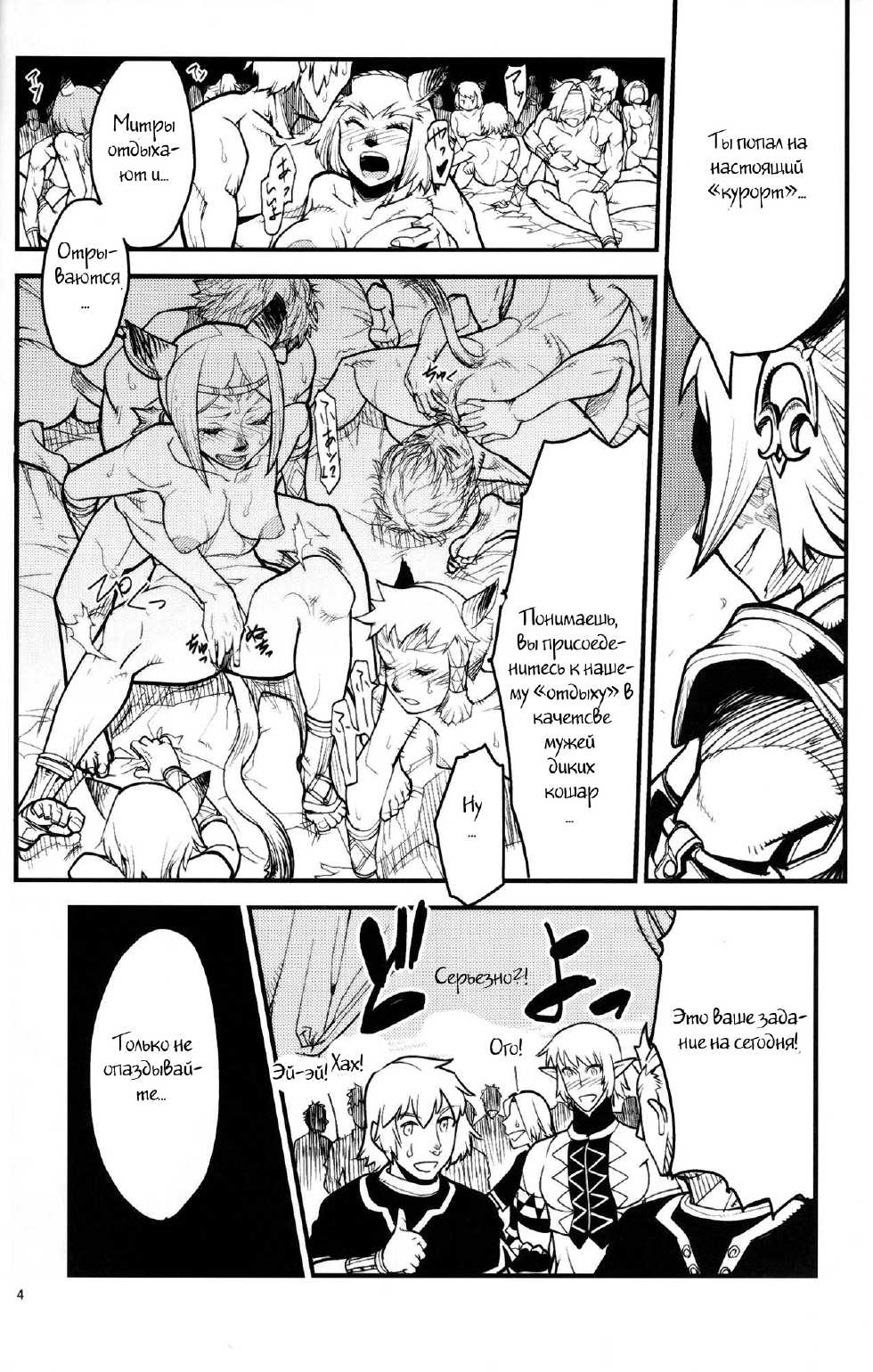 (C76) [Kuroshiki (Kurohiko)] Kuroshiki Vol. 8 (Final Fantasy XI) [Russian] [Witcher000] - Page 3