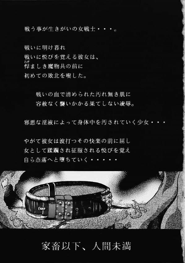 (C60) [ALICE-DO (Miyauchi Izumi)] Ainyuu (Dragon Quest III) - Page 2