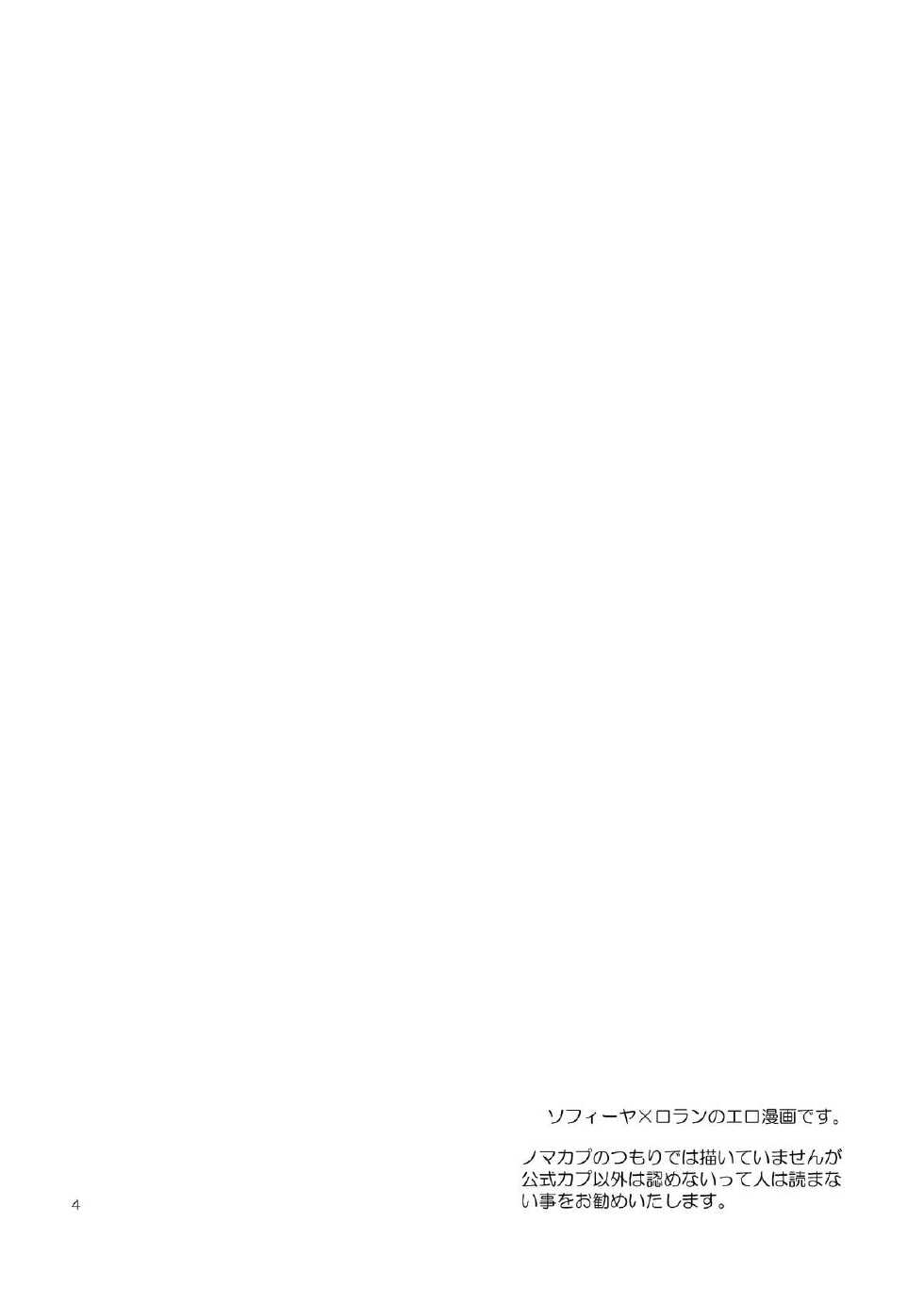 [Nasuan (Nashie)] Chanto Aratte Kaesukara (Madan no Ou to Vanadis) [Digital] - Page 3