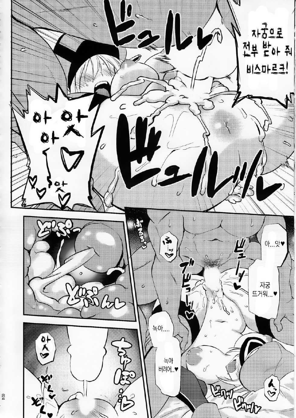 (C87) [INFINITY DRIVE (Kyougoku Shin)] Makezugirai Fraulein (Kantai Collection -KanColle-) [Korean] [Snow Dream] - Page 22