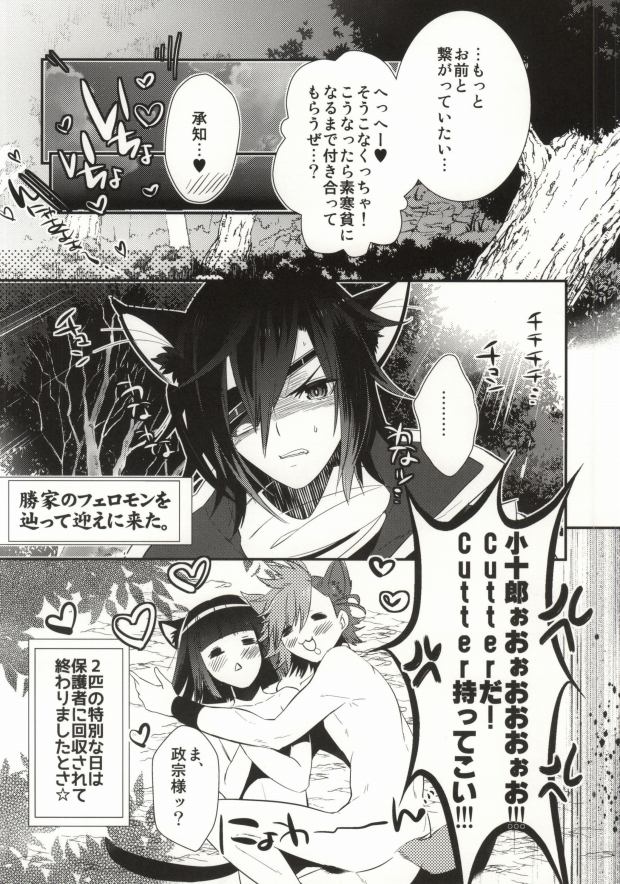 (Kyoukoukingen Juushichiden) [YUIMARI Z! (Aizawa Yuito)] WonderFool (Sengoku BASARA) [Incomplete] - Page 11