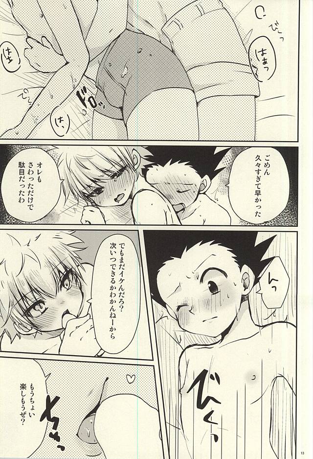 (C88) [MiUMiU (Amin)] Rurubu de Love Love (Hunter x Hunter) - Page 12