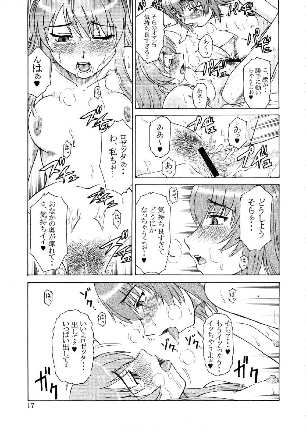 (Mimiket 10) [Oretachi Misnon Ikka (Misnon Blue, Misnon the Great)] Tsuihou Kakugo Ver.9.0 (Crest of the Stars, Kaleido Star, Stellvia of the Universe) - Page 17