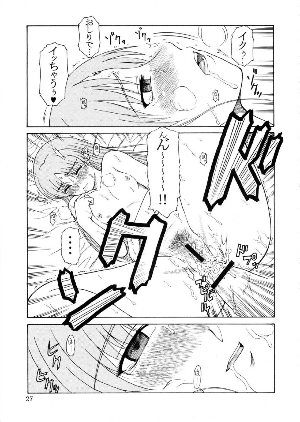 (Mimiket 10) [Oretachi Misnon Ikka (Misnon Blue, Misnon the Great)] Tsuihou Kakugo Ver.9.0 (Crest of the Stars, Kaleido Star, Stellvia of the Universe) - Page 27