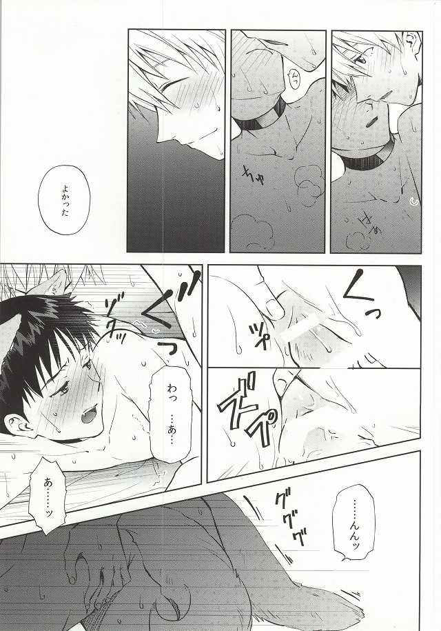 (C87) [Getsumen-Spiral (Mayama Satori)] Wanko na Kareshi Otonamuke (Neon Genesis Evangelion) - Page 18