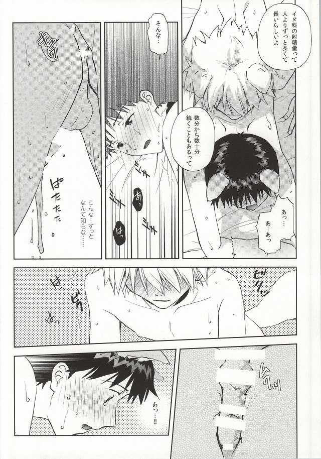 (C87) [Getsumen-Spiral (Mayama Satori)] Wanko na Kareshi Otonamuke (Neon Genesis Evangelion) - Page 23