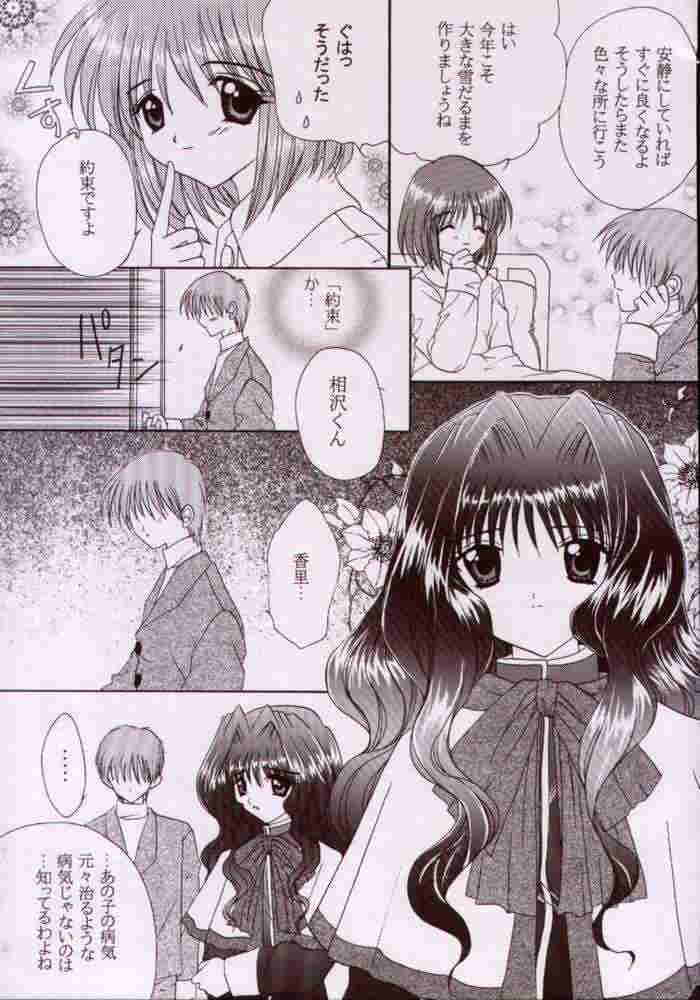 (C57) [LIPSTAR] Kotoshi Hajimete no Yuki no Hi (Kanon) - Page 6