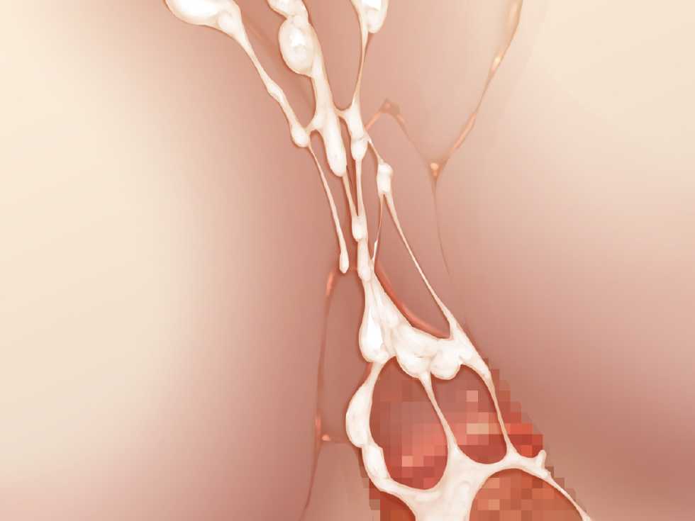 [Kairoudou (Ebidou)] Hime-sama Choukyouzumi (Seiken Densetsu 3) - Page 22