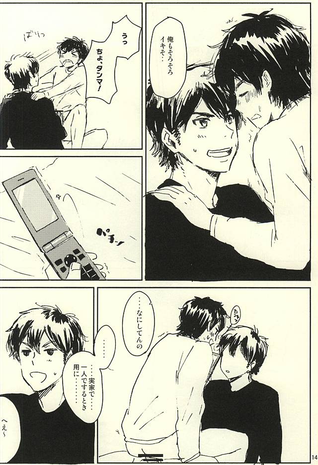 (SPARK10) [4LDK (Hiji, Sonchou)] Funwari Plasma Seikatsu (Daiya no Ace) - Page 12