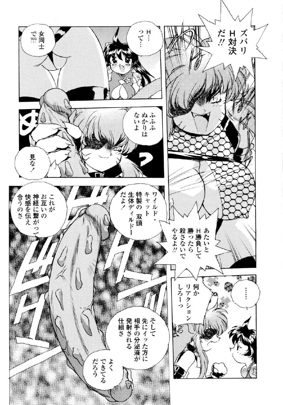 [Hariken Hanna] Wildcat Pirates! - Page 14
