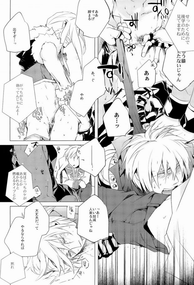 (C75) [PPP allergen (Yuikawa Kazuno)] glance (Ragnarok Online) - Page 9
