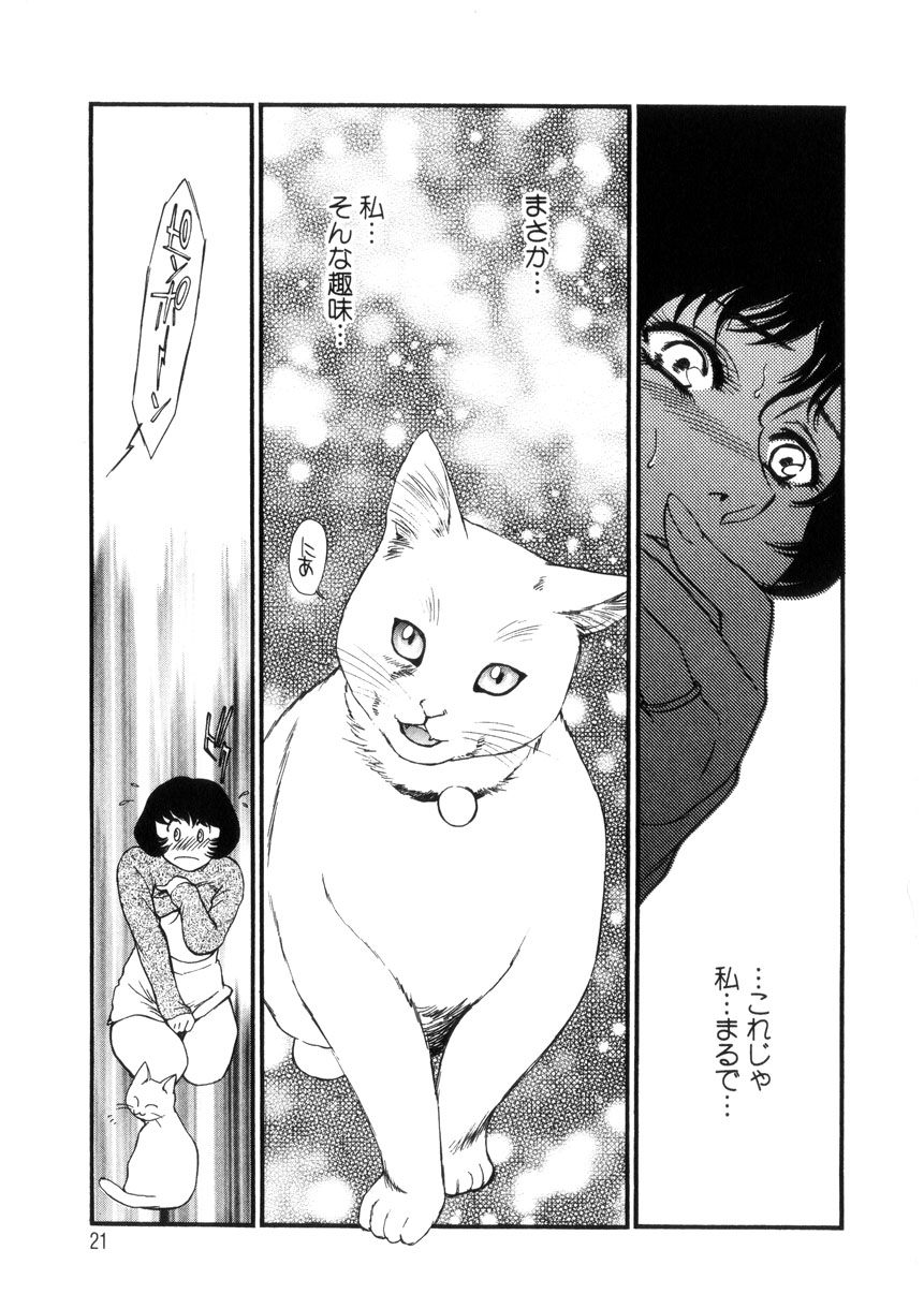 [Fujii Akiko, Akiyama Michio] Hitozuma Moyou 4 Yogarizuma - Page 22