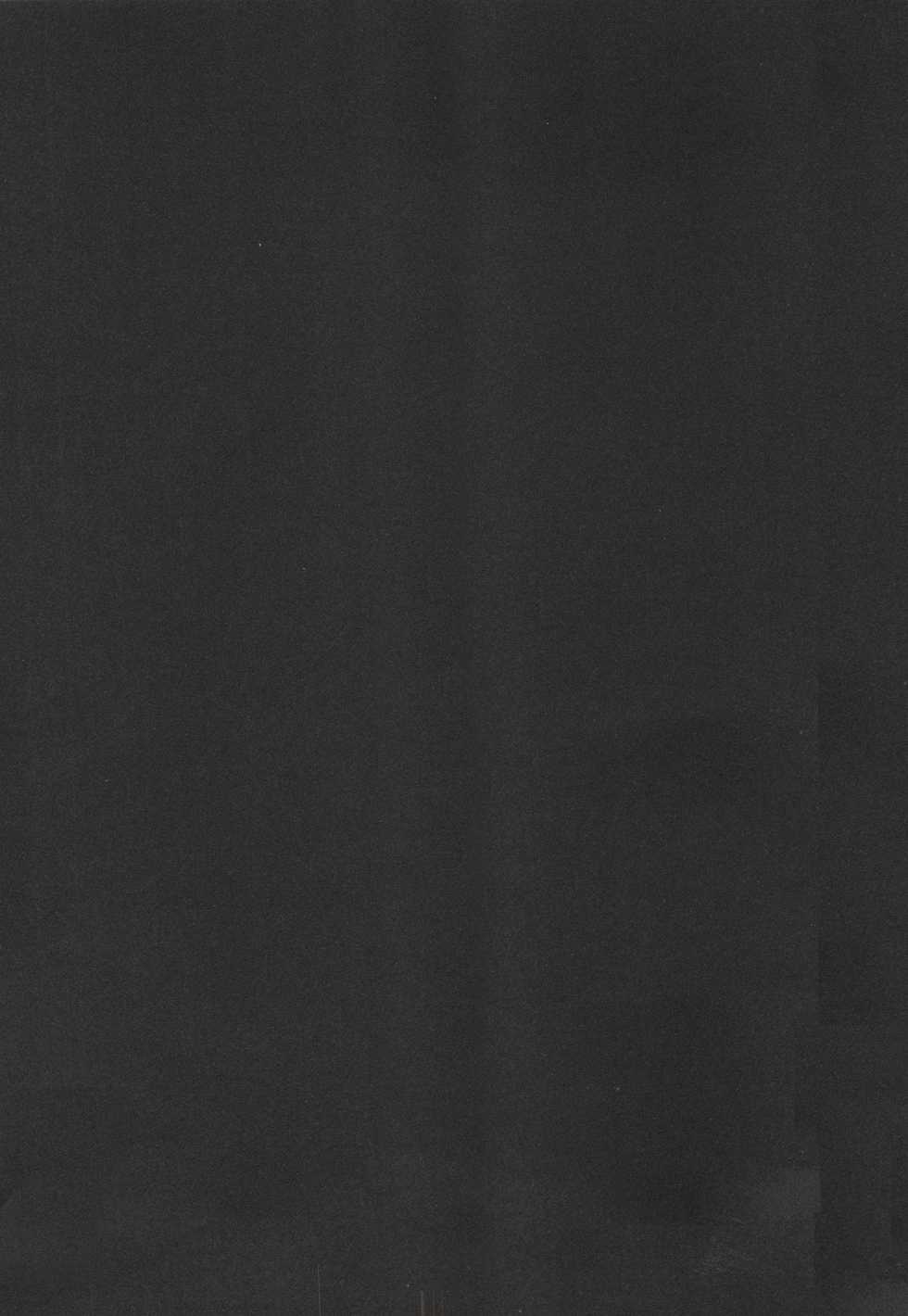 [Ninomiya Ryouzou] Junketsu Maniac Seijo - Page 4