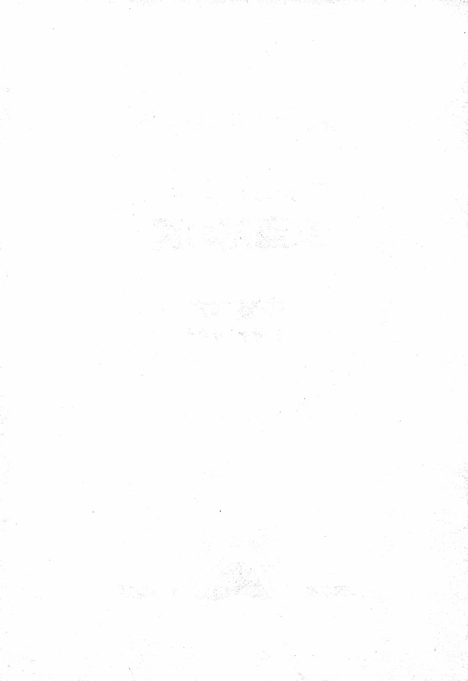 [Nakaoi Kimu, Sachi Sakana] Lightning Saga III - Onna Touzoku no Wana - Page 4