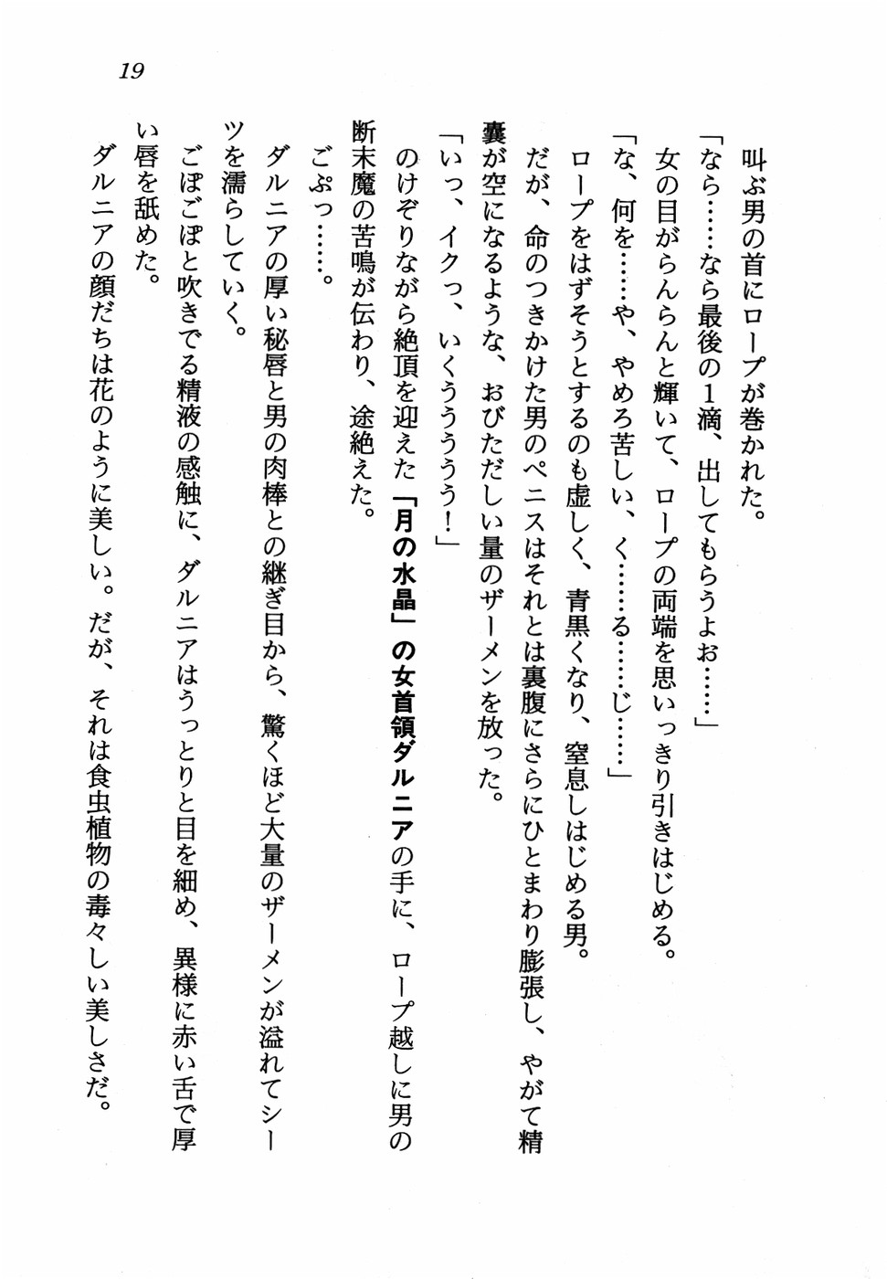 [Nakaoi Kimu, Sachi Sakana] Lightning Saga III - Onna Touzoku no Wana - Page 21