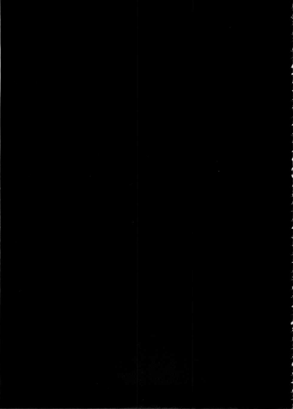 (C85) [A Gokuburi (sian)] Karin to ShiroNatsume (Pokémon, Kantai Collection -KanColle-) - Page 22