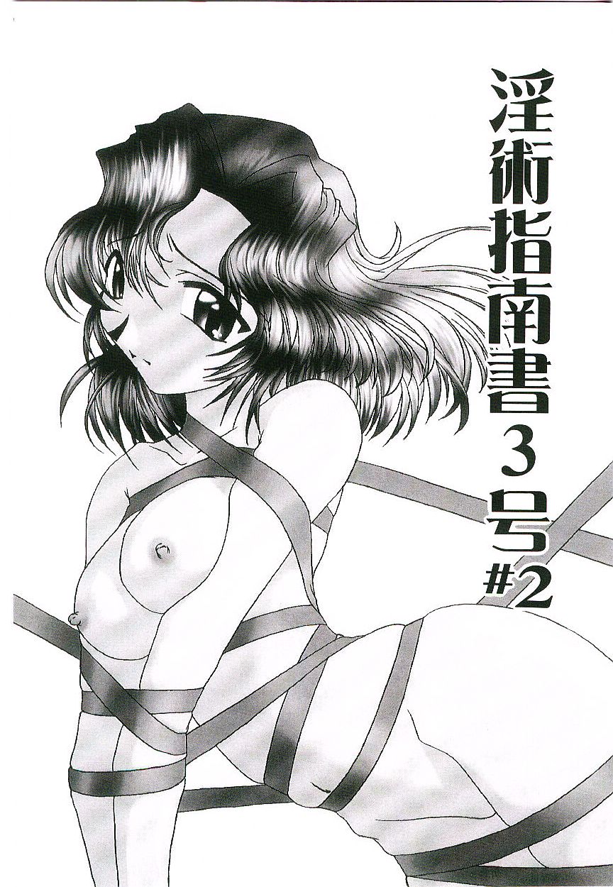 [Kumasaka Ramao] Injutsu Shinansho Sangou - Page 29