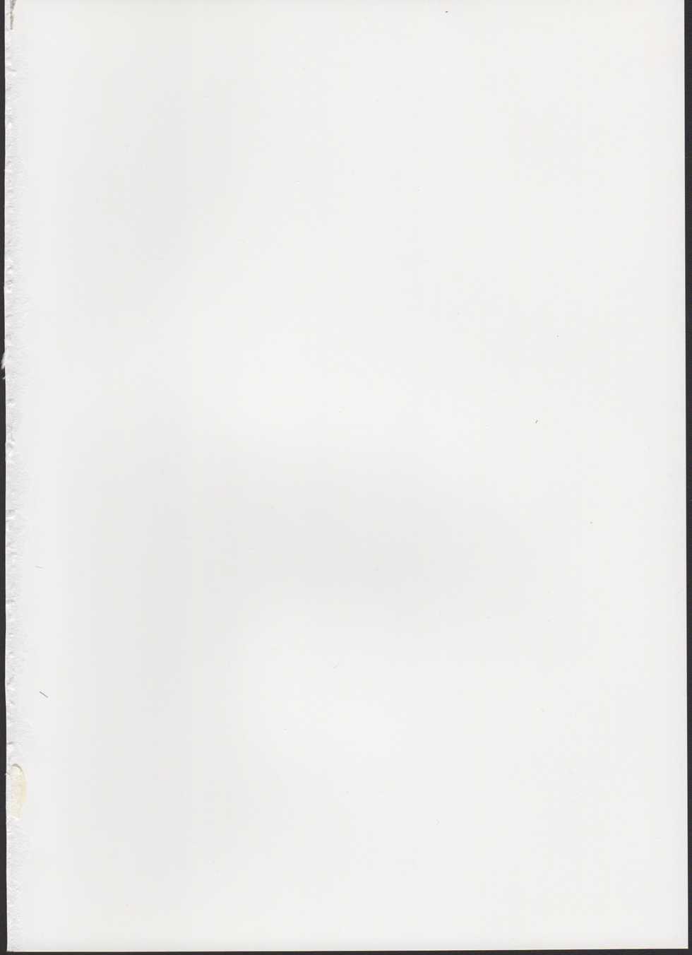 (C88) [Amarini Senpaku! (Yokkora)] My Wife Laala (PriPara) - Page 2