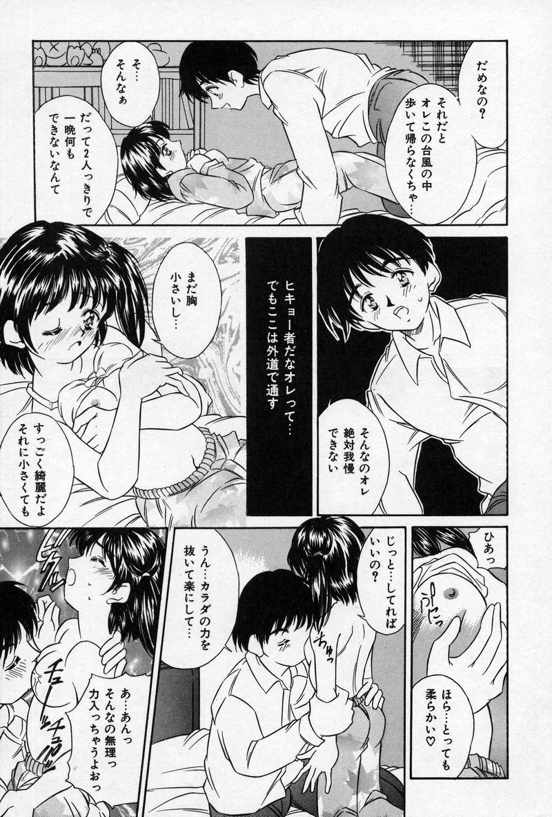 [Kinoshita Rei] Natsuriro Koi Koi Monogatari - Page 29