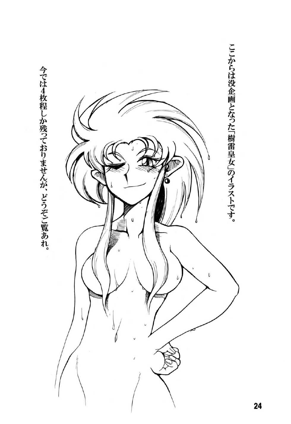 (C88) [Sumire Club 8823 (Oosaka Hananoko)] Tenchi Musou! Inkouki Mahou Shoujo wa Kuma o mo Taosu (Mahou Shoujo Pretty Sammy) - Page 25