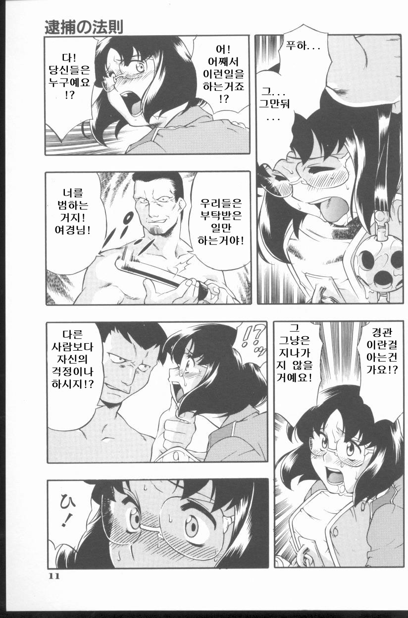 [Minazuki Satsuki] Kurenai No Inei | 붉은 음영 [Korean] [UB] - Page 13