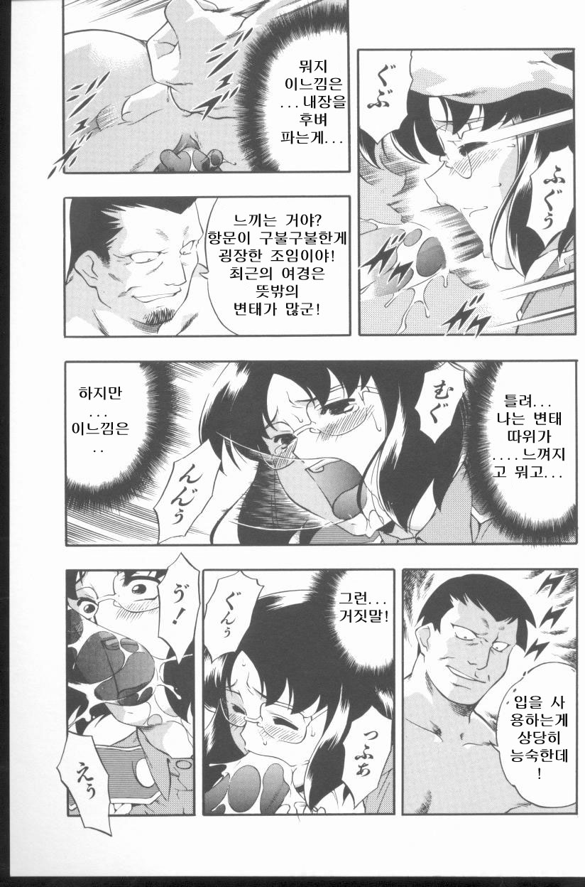 [Minazuki Satsuki] Kurenai No Inei | 붉은 음영 [Korean] [UB] - Page 17