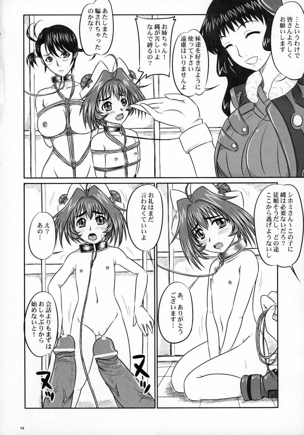 (SC36) [Nozarashi (Nozarashi Satoru)] Shi Shi Mai Mai (Super Robot Taisen) - Page 14