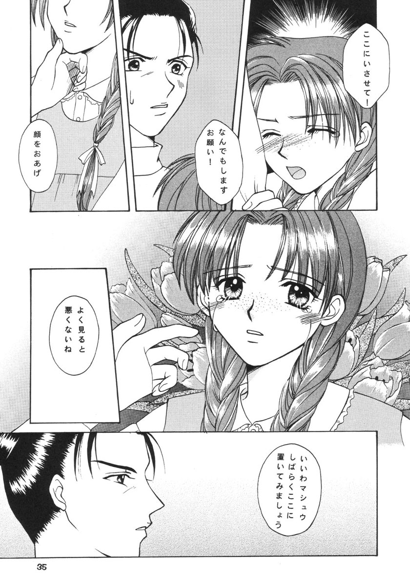 [Paradise City (Various)] Rakuen Toshi 9 (Anne of Green Gables) - Page 34