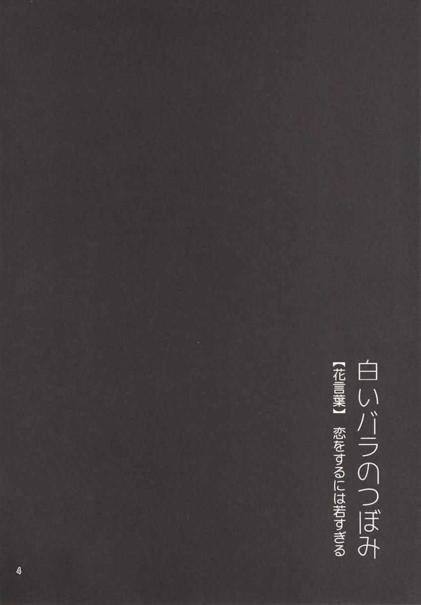 (C89) [BQ (Kitao Taki)] Koi o Suru ni wa Hayasugiru (Granblue Fantasy) - Page 4