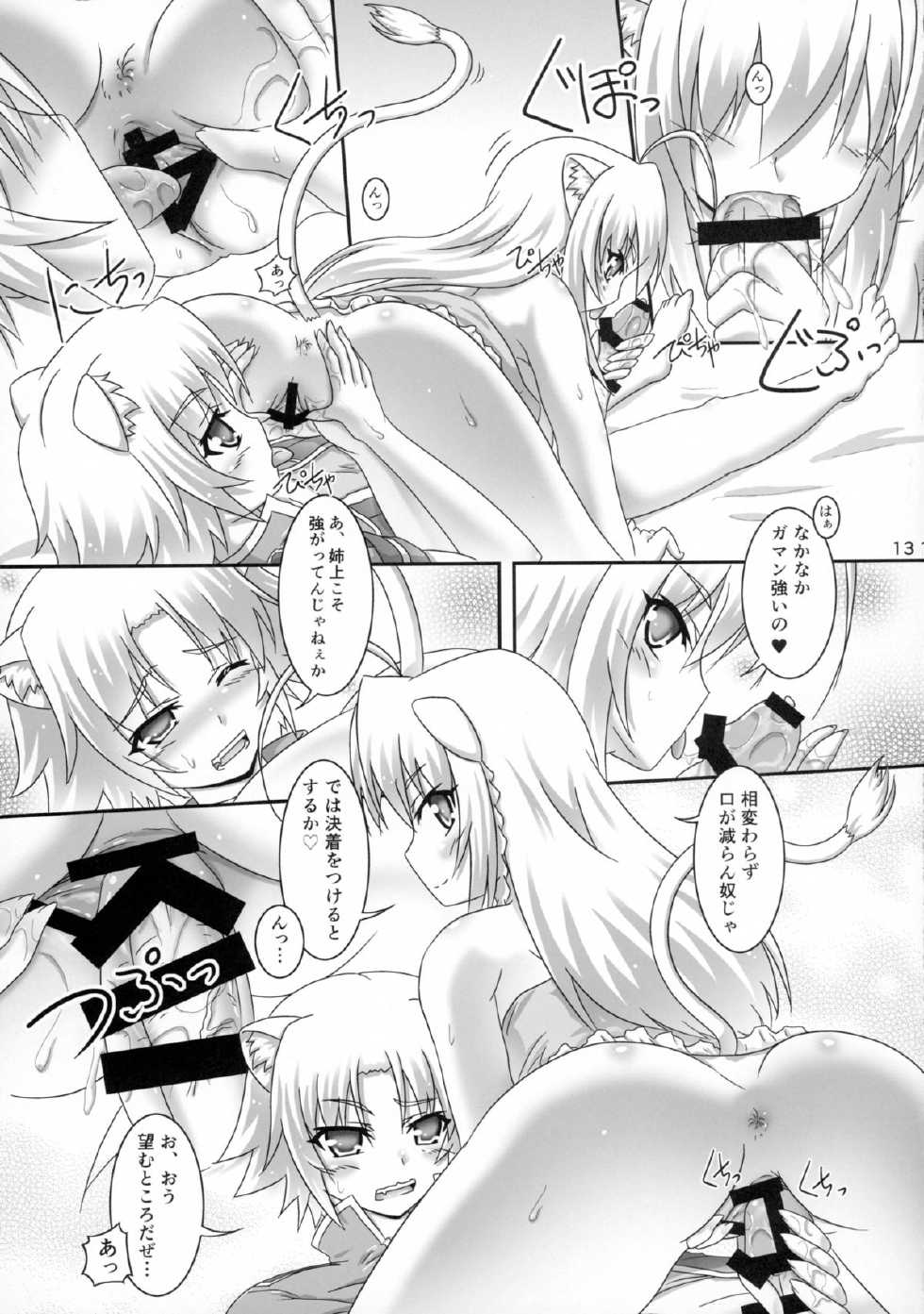 (CT25) [Serenta (BOM)] Aneue ni Omakase (DOG DAYS) - Page 13
