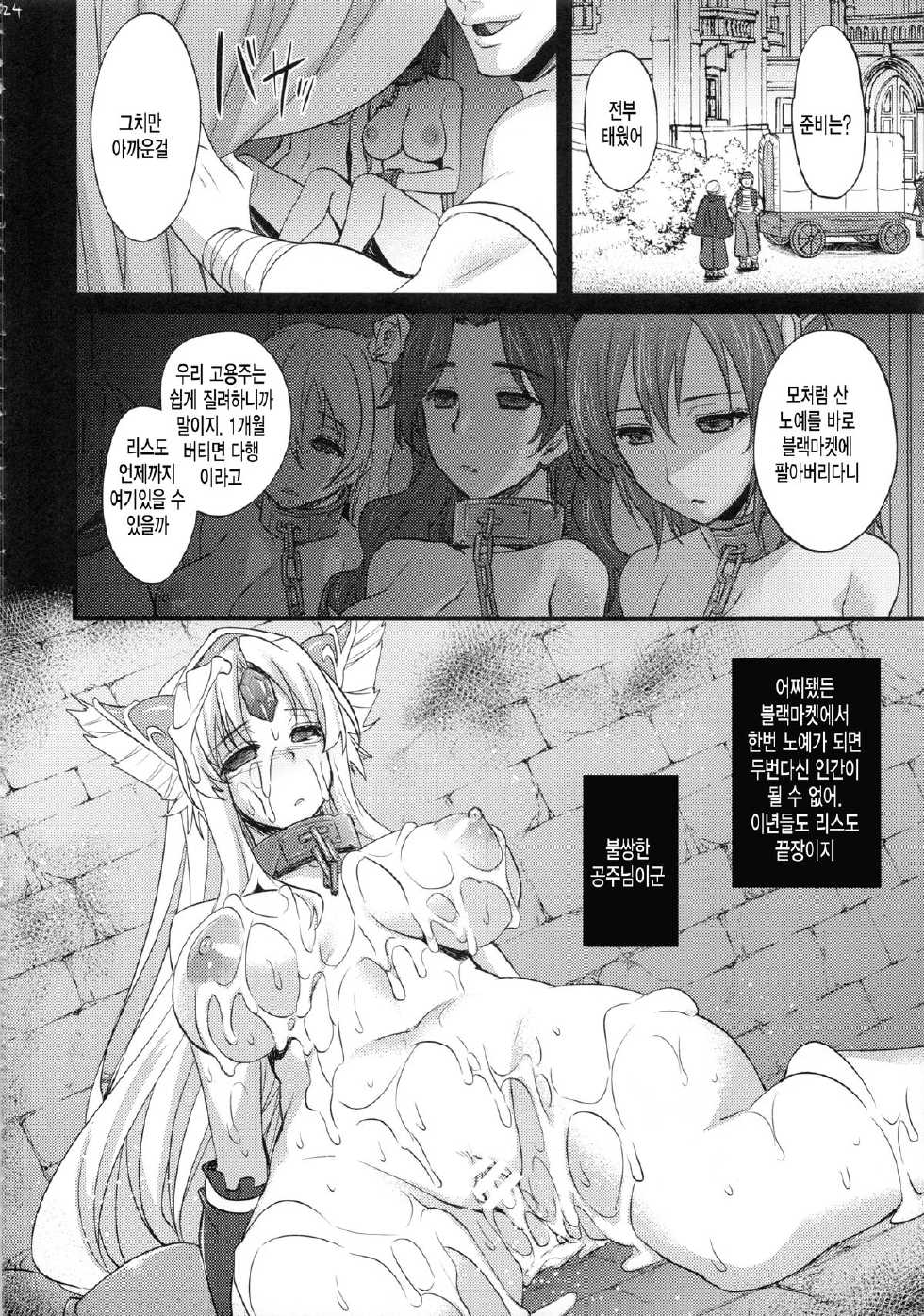 (C84) [Himeya (Abe Inori)] Sex Slave Riesz (Seiken Densetsu 3) [Korean] [미쿠다요] - Page 23