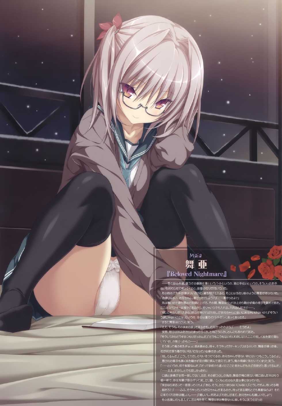 (C87) [Kinako no Yama (Coq)] HAPY x NOS (Various) - Page 9