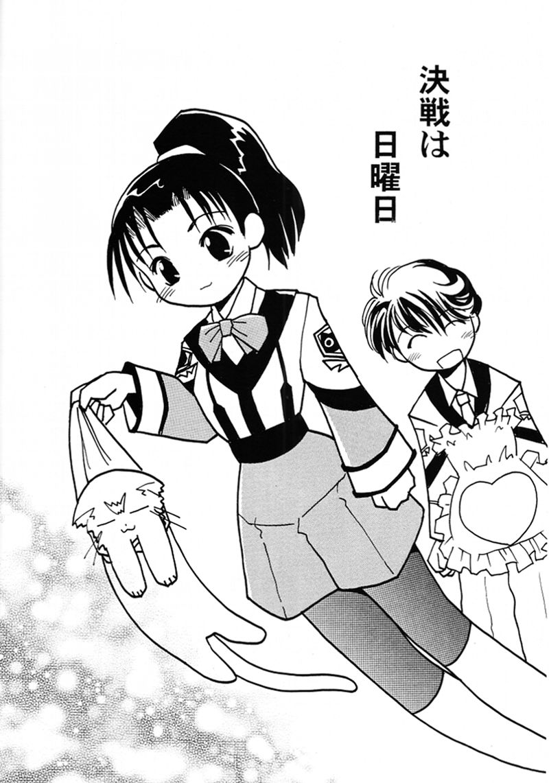 (C59) [Sueya (Sue)] Chou Shibamura-teki (Gunparade March) - Page 7