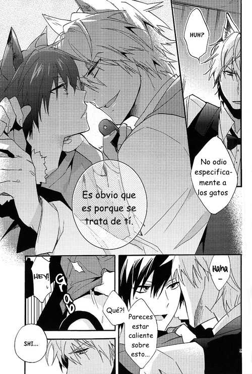 [Suidoku (Don Una)] mimimi (Durarara!) [Spanish] [LYLF-Otakurinos] - Page 10