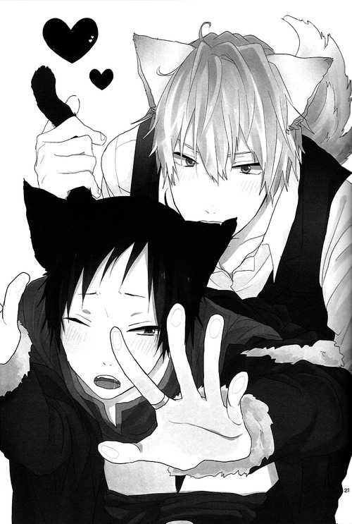 [Suidoku (Don Una)] mimimi (Durarara!) [Spanish] [LYLF-Otakurinos] - Page 22