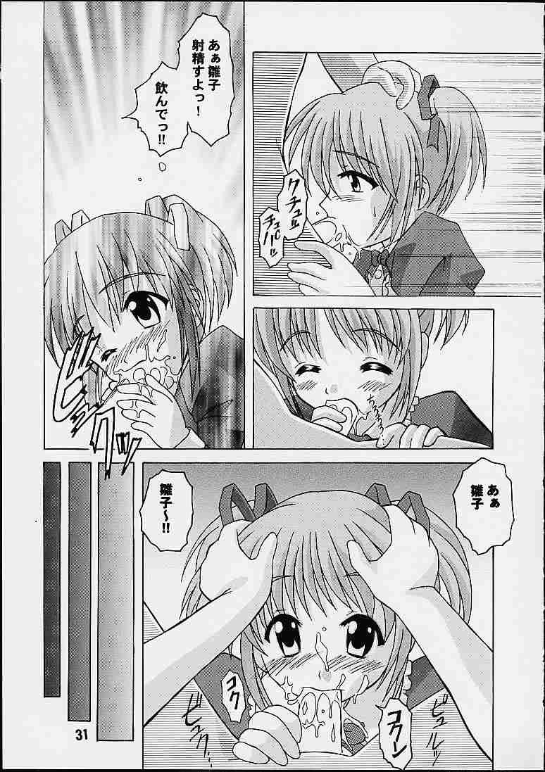 (CR29) [Shinohara Heavy Industry (Various)] Sis-Con (Sister Princess) - Page 27