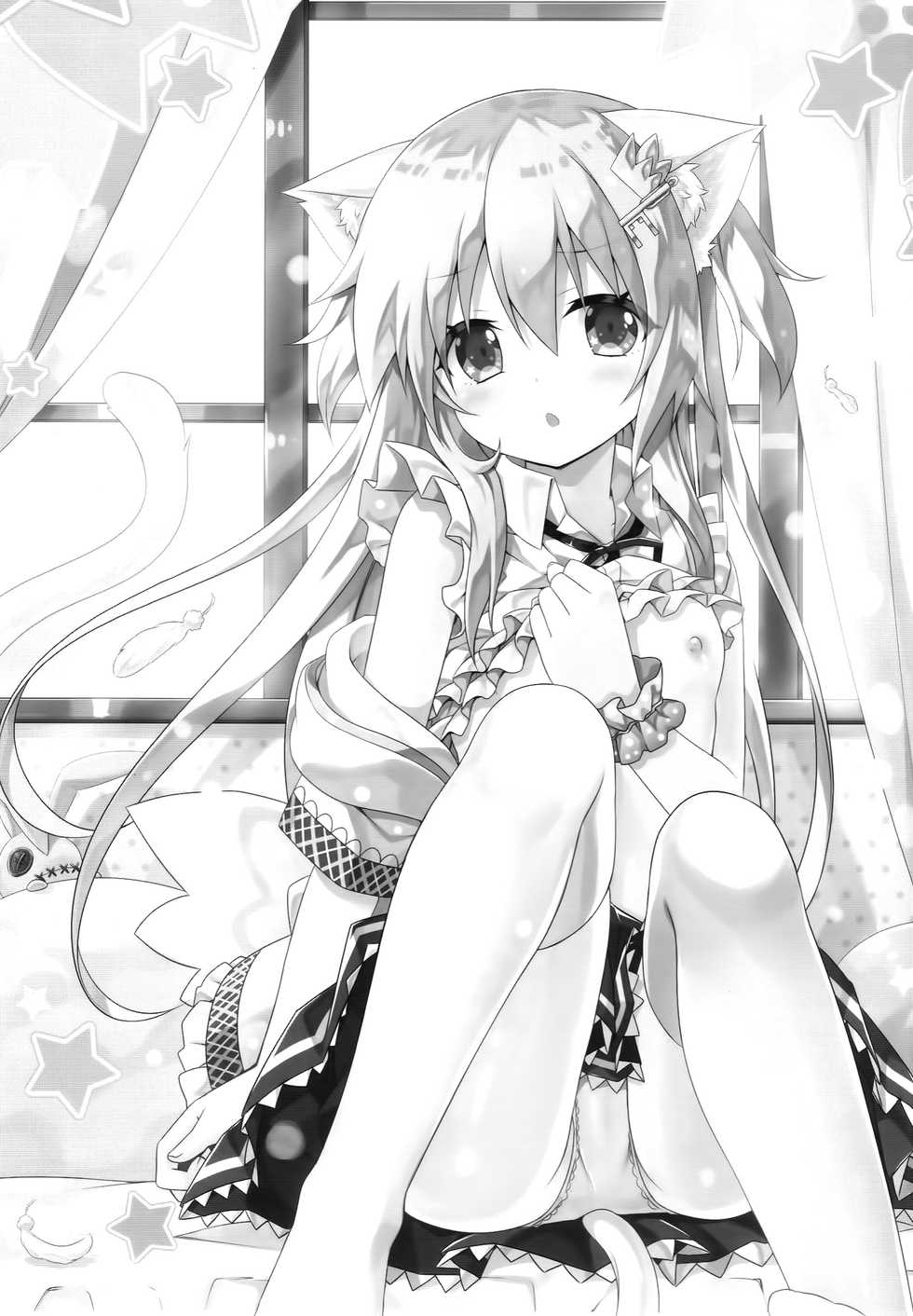 (C89) [Animal Herb (Yano Mitsuki)] Uchi no Pet Jijou 3 [Chinese] [脸肿汉化组] - Page 3