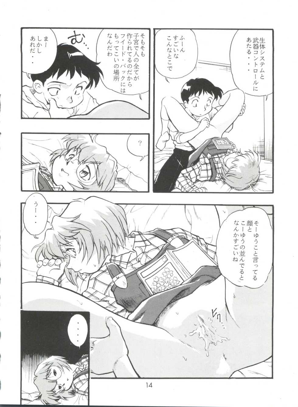 (CR23) [Studio Parfe (Dohi Kensuke)] Evan 26.5 4 (Neon Genesis Evangelion) - Page 14