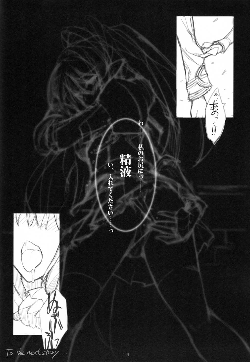 (C89) [sobaworks (Akisoba)] unRighteousness Soniferous (Ragnarok Online) - Page 12