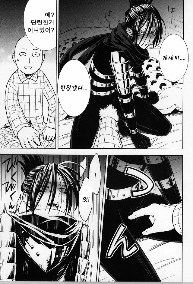 (C86) [LITHIUM (Yukimaru)] stray cat (One Punch Man) [Korean] [Team K·C] - Page 10